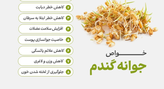 پک 3 عددی پودر جوانه گندم کمک به هضم سیستم گوارش اصل اورجینال
